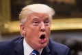 ドナルド・トランプ前米大統領（2017年9月5日撮影）。(c)SAUL LOEB / AFP