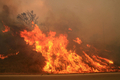 スペイン・カタルーニャ（Catalan）自治州Altemporadaの山火事（2012年7月22日撮影）。(c)AFP/JOAN CASTRO