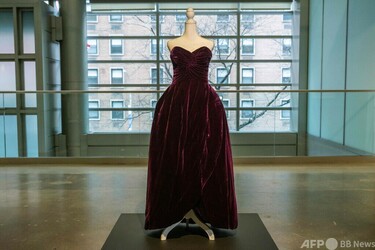 故ダイアナ妃のドレス、競売へ 写真4枚 国際ニュース：AFPBB News