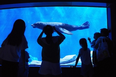 中国のレジャー化都市、上海が1位に ワースト都市も発表