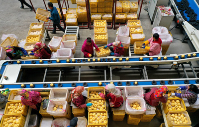 「緑色」に染まった中国最大のECセール 環境保護や低炭素化に重点