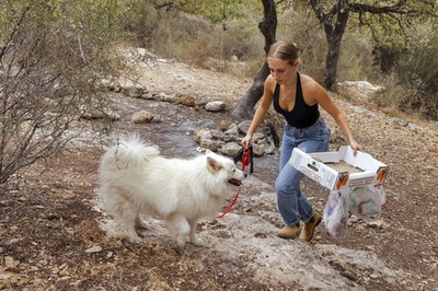 【SDGsニュースを振り返る】11月18日〜11月24日