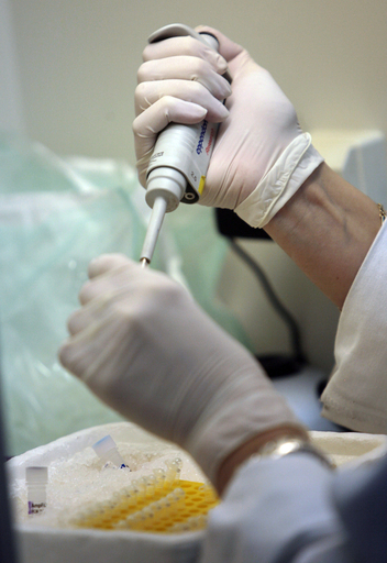 スペインでDNA親子鑑定ビジネスが急成長中