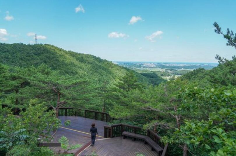 江陵市内を一望できる江陵松の香り樹木園（韓国観光公社提供）(c)news1