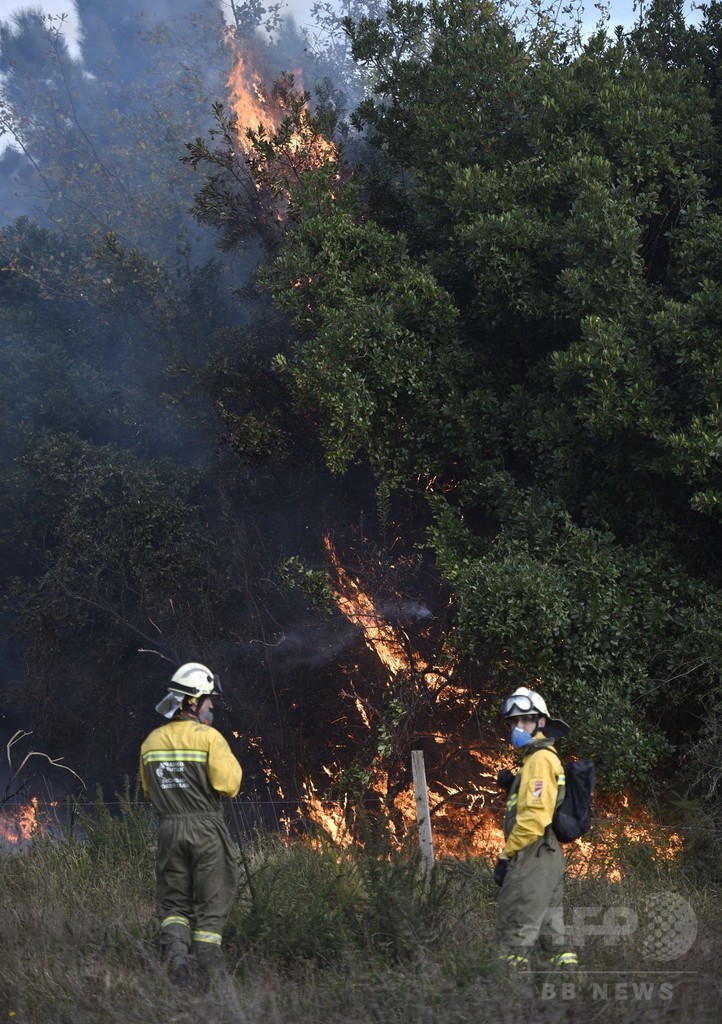 スペイン北部の130か所以上で山火事