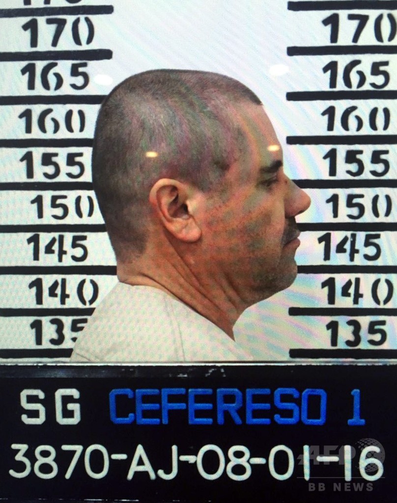 再収監されたメキシコ麻薬王、毎日の食事は犬が毒味