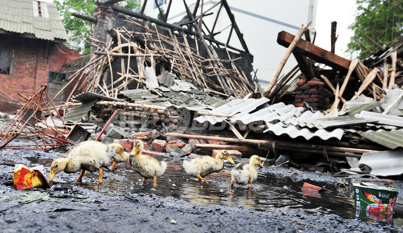 中国・四川大地震、死者5万人以上の見通し