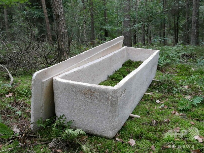 キノコ製の「生きているひつぎ」、死後も地球に優しく オランダ