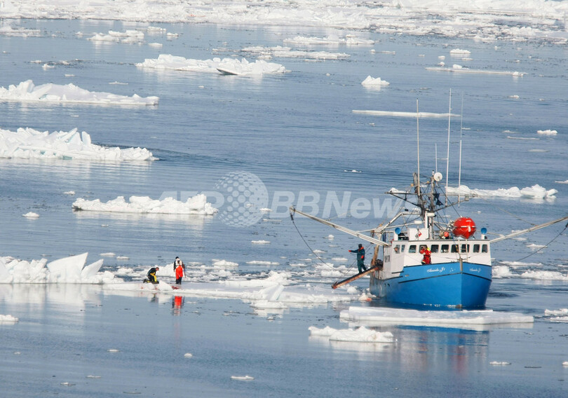 アザラシ猟に抗議のシー・シェパード船とカナダ沿岸警備隊船舶が接触
