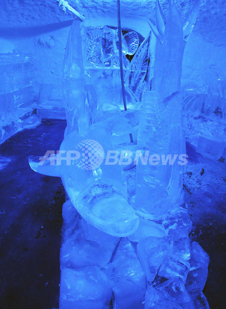 世界初の「寒いアートギャラリー」、氷の彫刻美術館がオープン