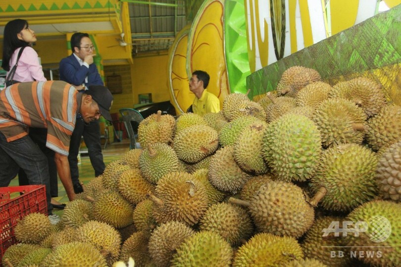11万円のドリアン2個売れる、現地最低月給の8倍 インドネシア