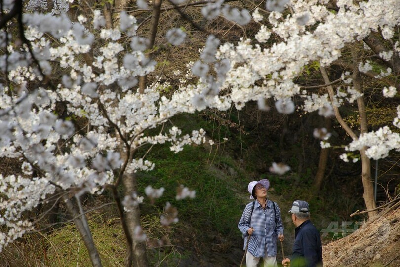 韓国人女性の平均余命、2030年までに90歳超え 英研究