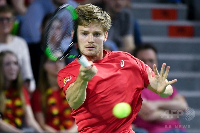 ベルギーがデ杯準決勝進出、大黒柱ゴフィンが母国をけん引