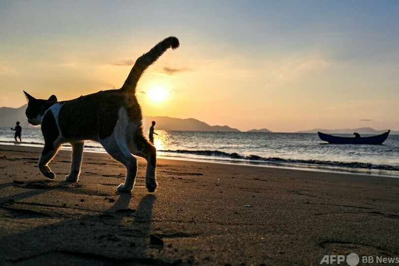 【今日の1枚】夕空にぎわす地引き網 インドネシア