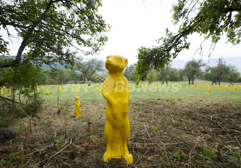 ミーアキャット1000匹、野原にお出かけ ドイツ南部で野外美術展