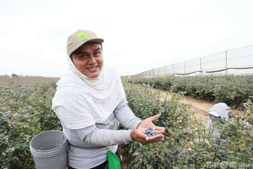 中国とペルーは経済関係の強化で発展のチャンスを共有