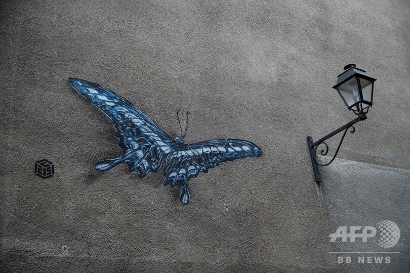 精神医療の現場に「詩情」を、仏画家が描く鮮やかなチョウ