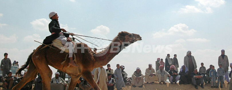 ラクダ・レース開催 - エジプト