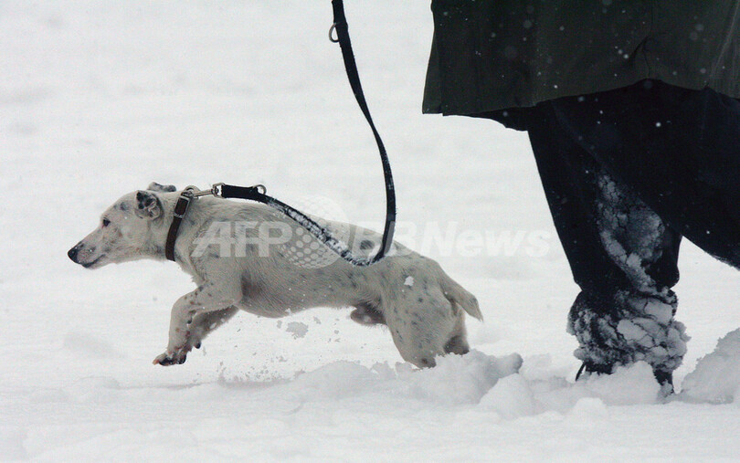 大雪の欧州西部、主要交通機関が大混乱