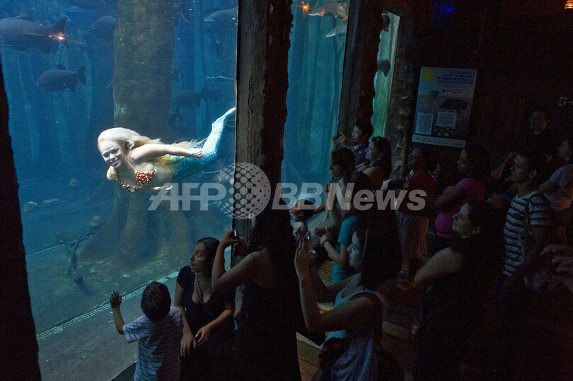 「人魚」に出会える水族館、ブラジル