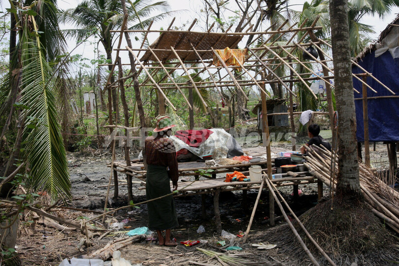 ミャンマー支援国会合、軍政が「ニワトリの損失数」を発表