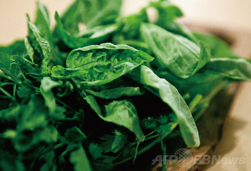 ホテルライクなライフスタイル複合施設「ホテル エマノン」、渋谷に21日オープン