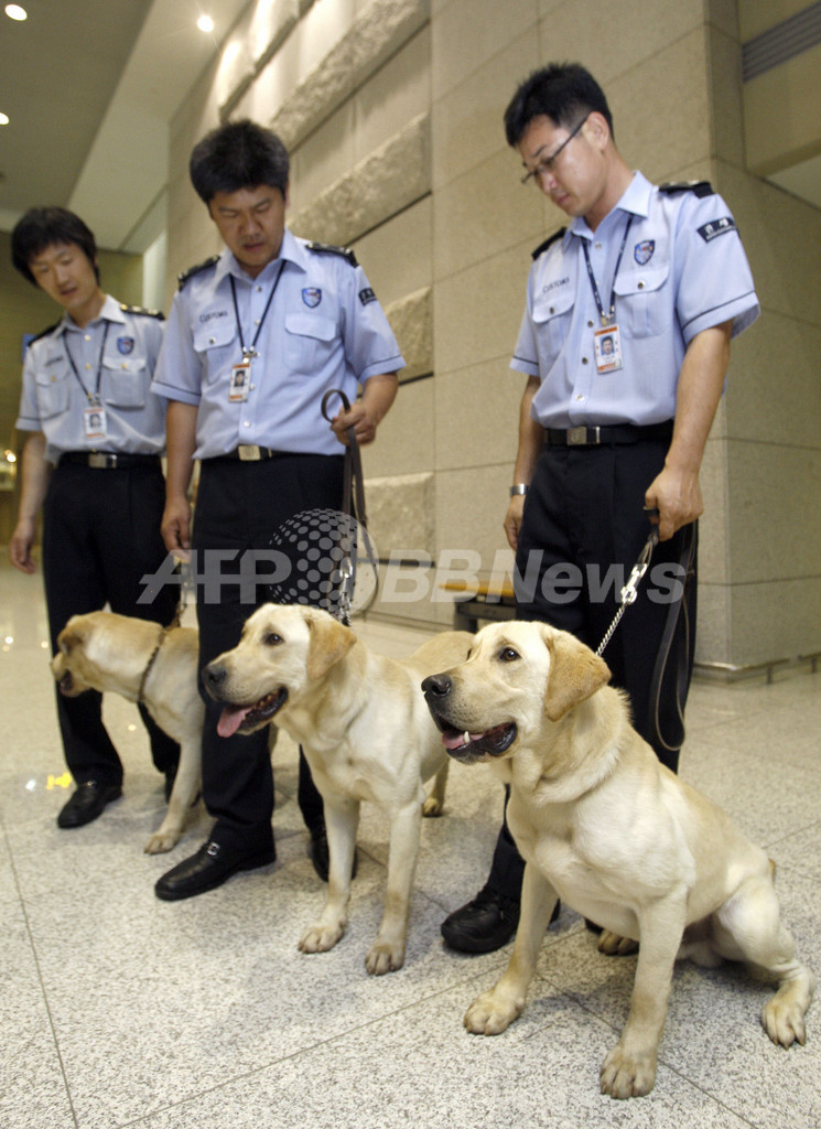 クローン捜査犬がデビュー、韓国