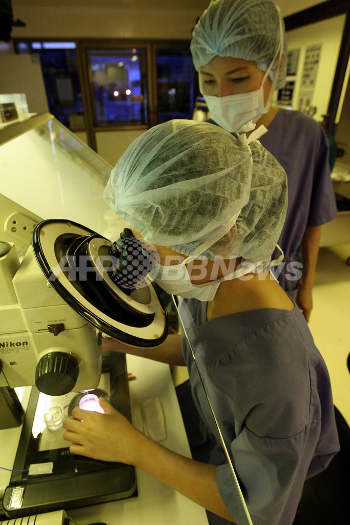 父親の生前に体外受精した子どもに相続権はあるか、米アーカンソー州最高裁が判断