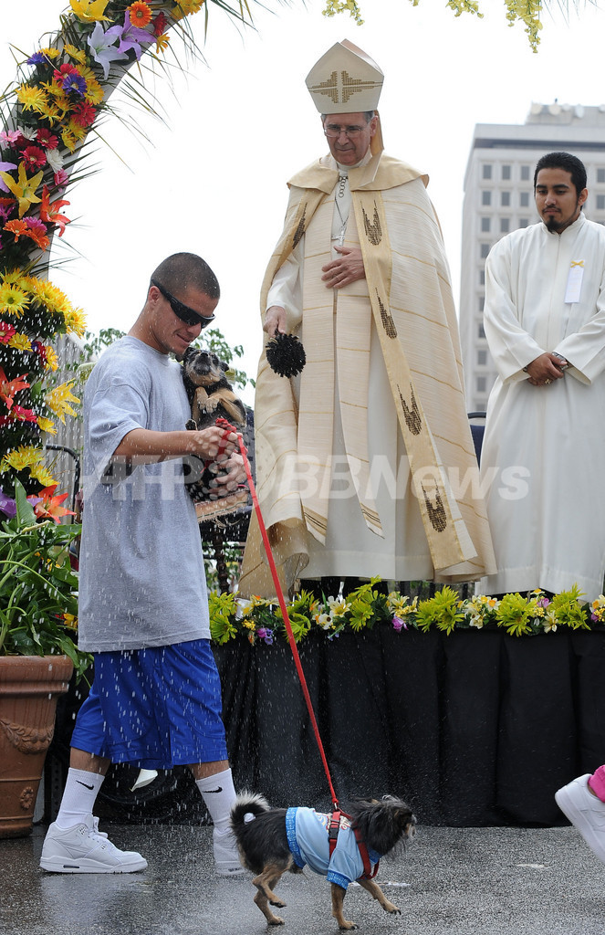 イースターサンデー前日、動物たちにも祝福を