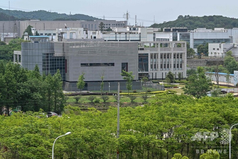 武漢研究所が保管のコウモリ由来コロナウイルス株、「新型とは別」と同所長