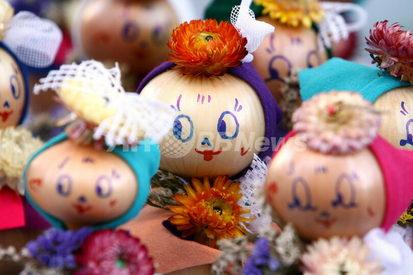 「涙の出ないタマネギ」の開発に成功