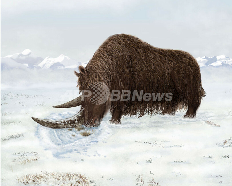 大型草食動物は氷河時代より前に高地で進化、サイエンス誌