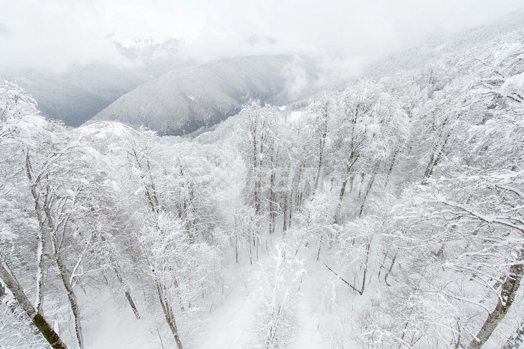 露ソチで雪の貯蔵作業が始まる、14年冬季五輪の雪不足に備え 露ソチで雪の貯蔵作業が始まる、14年冬季五輪の雪不足に備え