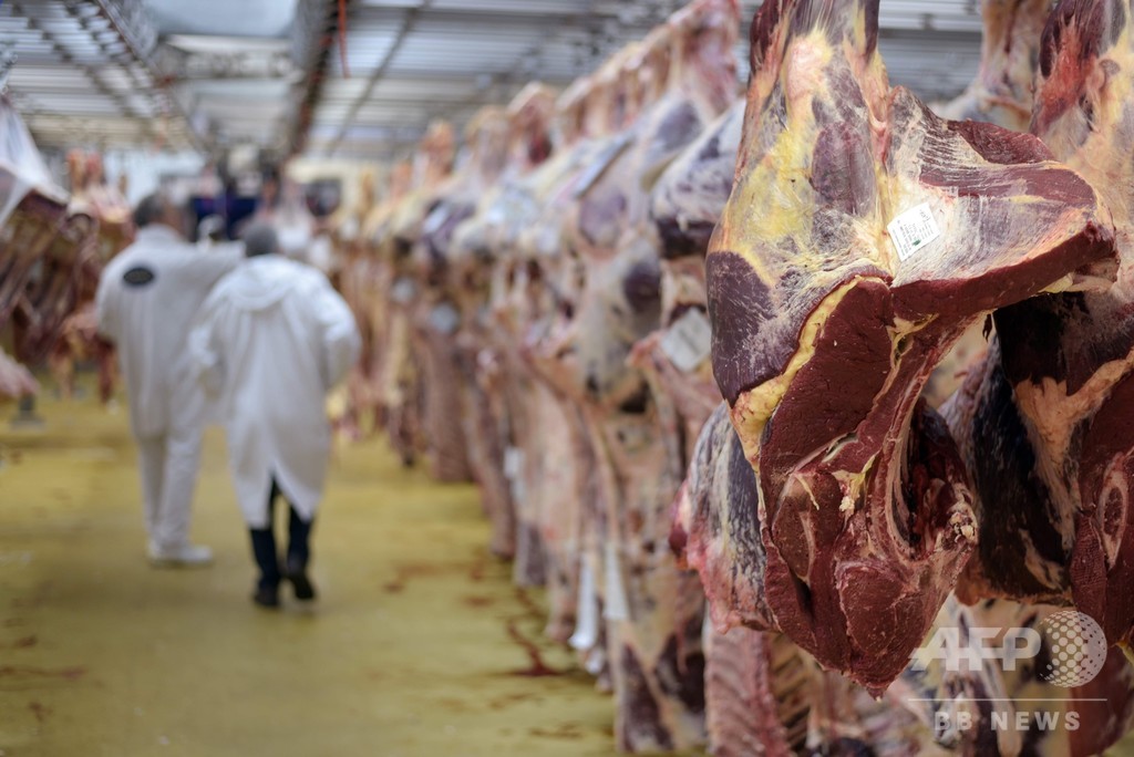ポーランドから病気の牛の肉が流通か EU各国で回収・廃棄 ポーランドから病気の牛の肉が流通か EU各国で回収・廃棄
