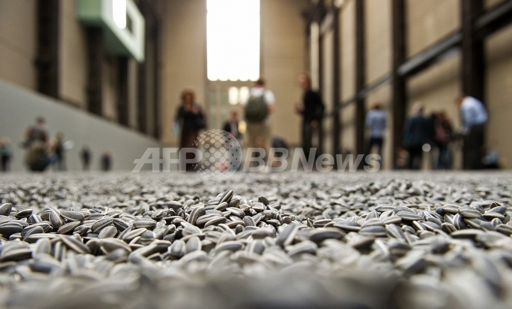 種の上歩くアイ・ウェイウェイの体感アート、「健康リスク」で通行禁止