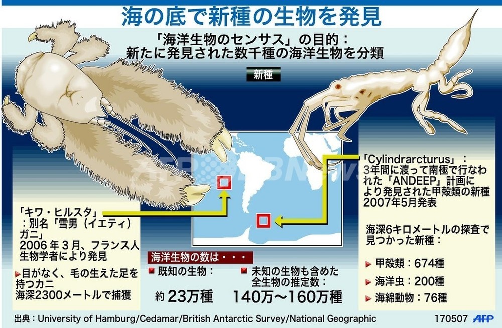 図解 発見された新種の海洋生物 写真1枚 国際ニュース Afpbb News