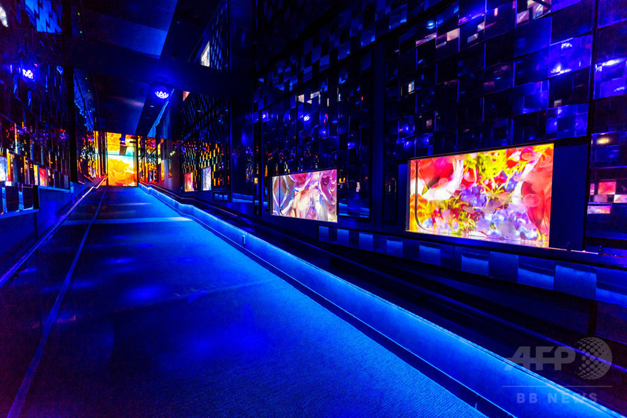 「すみだ水族館」蜷川実花とクラゲの幻想的なコラボレーション