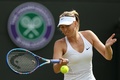 テニス、ウィンブルドン選手権、女子シングルス3回戦。リターンを打つマリア・シャラポワ（2015年7月3日撮影）。(c)AFP/JUSTIN TALLIS