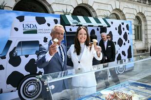 米アイス業界、27年までに人工着色料廃止へ ケネディ氏が主導