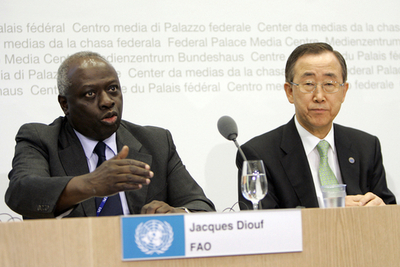 国連、食糧問題で作業部会設置へ