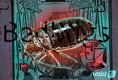 韓国で止まらないトコジラミ発見事例…忠清南道でも初