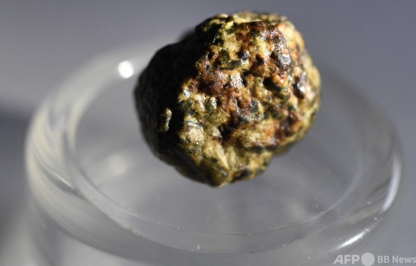 「6万5000個に一つ」 太陽系誕生期の隕石を特定 仏研究