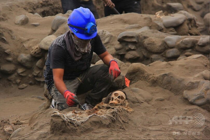 チムー王国の子ども集団いけにえ、新たに遺骨50体  ペルー