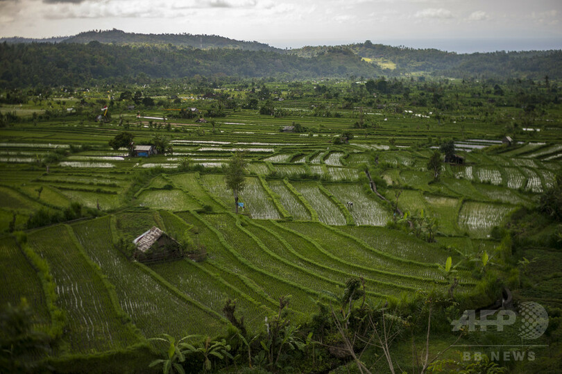 インドネシアで土砂崩れ 5人死亡、15人行方不明