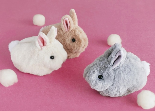 img_ce8bbe246c1d9c0451f82475d1