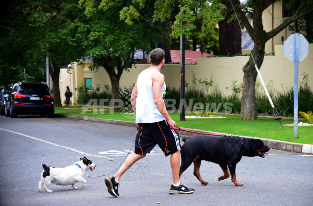 犬を飼うのは白人文化、南ア大統領の発言が物議 犬を飼うのは白人文化、南ア大統領の発言が物議