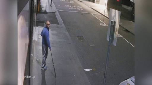 動画：釣りざおでネックレス盗む、監視カメラに一部始終 豪メルボルン