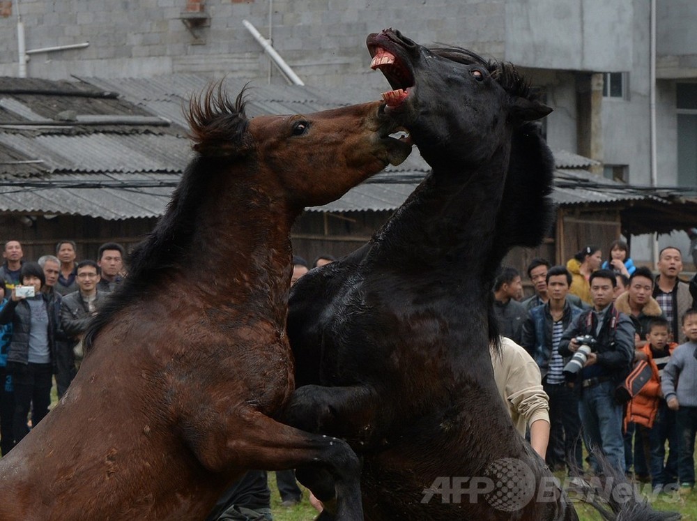 img_ce3afba4565463c391115fb9b2