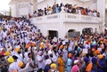 インド北部アムリツァル（Amritsar）にあるシーク教の総本山「黄金寺院（Golden Temple）」に集まったシーク教徒たち（2014年6月6日撮影）。(c)AFP/NARINDER NANU