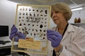 死海文書の断片を取り扱うイスラエル考古学庁職員。エルサレムで（2020年6月2日撮影）。(c)MENAHEM KAHANA / AFP